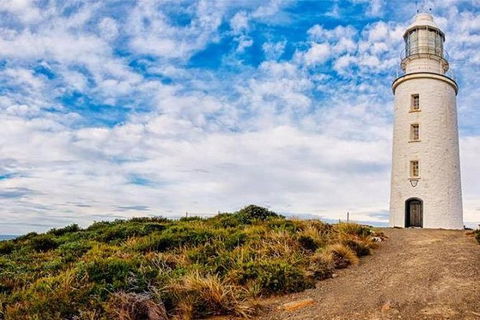 Bruny Island Private Charter Service - Accommodation Kalgoorlie 3
