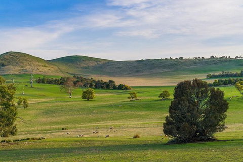 Mount Field Private Charter Service - Accommodation Kalgoorlie 4