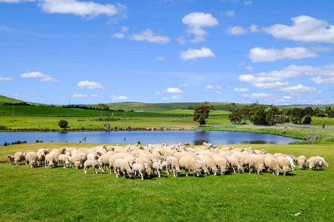 Mount Field Private Charter Service - Accommodation Kalgoorlie 5