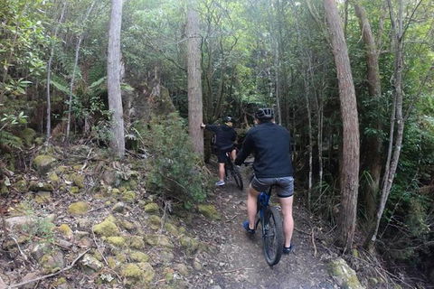 Explore Downhill Mountain In 3-Hour Bike Tour From Hobart - Accommodation Kalgoorlie 5