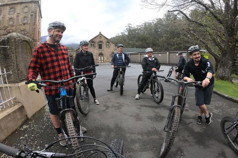 Explore Downhill Mountain In 3-Hour Bike Tour From Hobart - Accommodation Kalgoorlie 3
