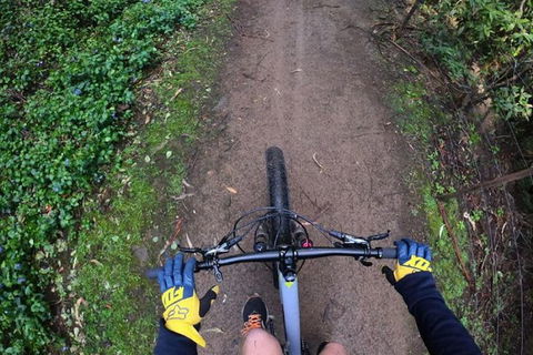 Explore Downhill Mountain In 3-Hour Bike Tour From Hobart - Accommodation Kalgoorlie 4