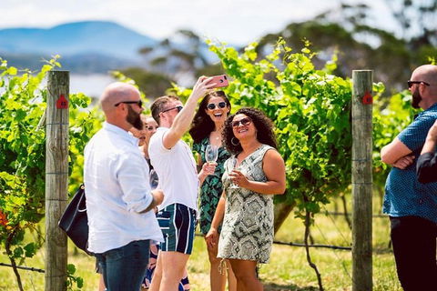 Hobart: Highlights Of Tasmanian Wine Full Day Tour - Accommodation Kalgoorlie 3