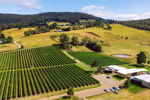 Hobart: Highlights Of Tasmanian Wine Full Day Tour - Accommodation Kalgoorlie 4