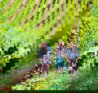 Hobart Highlights of Tasmanian Wine Full Day Tour - Accommodation Kalgoorlie