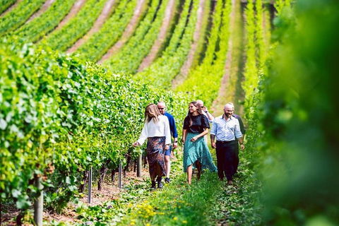 Hobart: Highlights Of Tasmanian Wine Full Day Tour - Accommodation Kalgoorlie 0