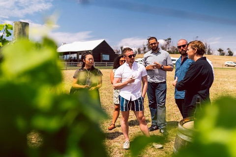 Hobart: Highlights Of Tasmanian Wine Full Day Tour - Accommodation Kalgoorlie 2