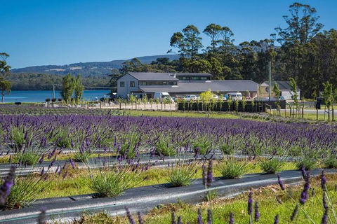 Private Hobart Discover South East Food And Scenic Tour - Accommodation Kalgoorlie 3