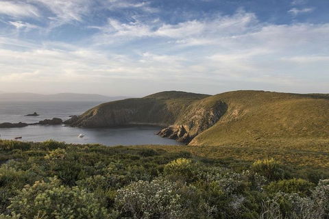 2.5-Hour Sunset At Cape Bruny Lighthouse Tour - Accommodation Kalgoorlie 2