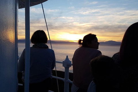 2.5-Hour Sunset At Cape Bruny Lighthouse Tour - Accommodation Kalgoorlie 1