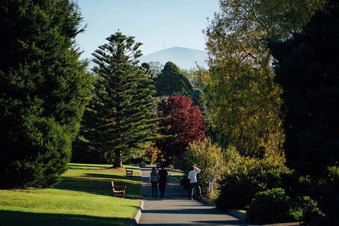 Private Royal Tasmanian Botanical Gardens Walking Tour - Accommodation Kalgoorlie 3
