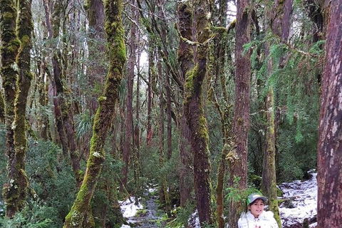 6-Day Small-Group Hearty Tasmania Tour From Hobart - Accommodation Kalgoorlie 2