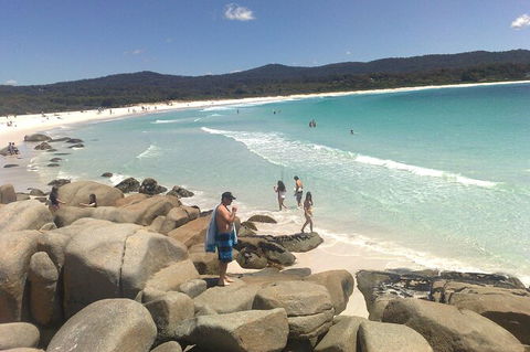 6-Day Small-Group Hearty Tasmania Tour From Hobart - Accommodation Kalgoorlie 3