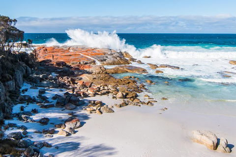 2-Day Tas East Coast Escape Tour Including Bay Of Fires, Wineglass Bay & Devils - Accommodation Kalgoorlie 6