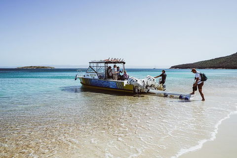 Sea & Explore Wineglass Bay & Freycinet National Park - Cruise & Walk - Accommodation Kalgoorlie 3