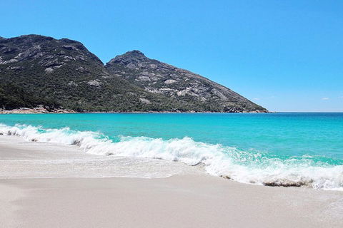 Sea & Explore Wineglass Bay & Freycinet National Park - Cruise & Walk - Accommodation Kalgoorlie 4