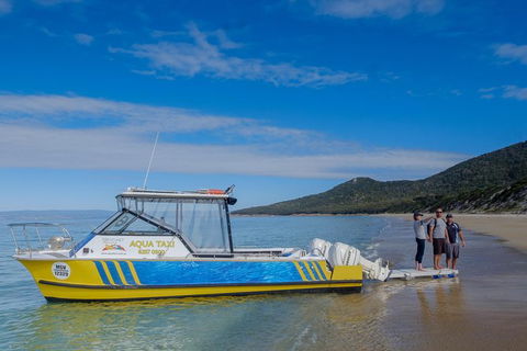Sea & Explore Wineglass Bay & Freycinet National Park - Cruise & Walk - Accommodation Kalgoorlie 7