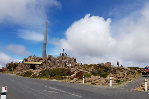 Mt. Wellington Morning Hike + Afternoon Beer & History Walk - Accommodation Kalgoorlie 21