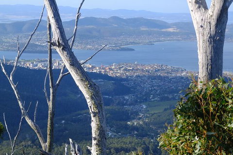 Mt. Wellington Morning Hike + Afternoon Beer & History Walk - Accommodation Kalgoorlie 10
