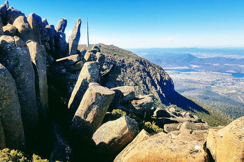 Mt. Wellington Morning Hike + Afternoon Beer & History Walk - Accommodation Kalgoorlie 11