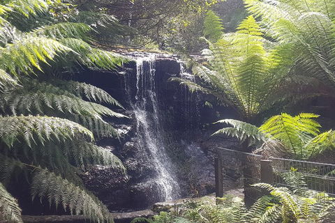 Mt. Wellington Morning Hike + Afternoon Beer & History Walk - Accommodation Kalgoorlie 16
