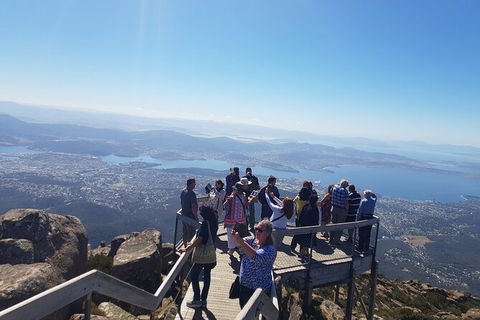 Mt. Wellington Morning Hike + Afternoon Beer & History Walk - Accommodation Kalgoorlie 2