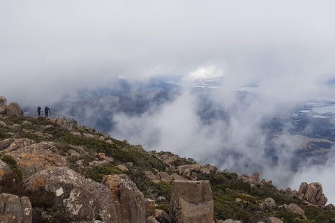 Mt. Wellington Morning Hike + Afternoon Beer & History Walk - Accommodation Kalgoorlie 18