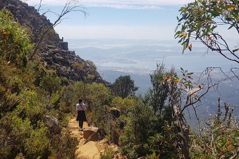 Mt. Wellington Morning Hike + Afternoon Beer & History Walk - Accommodation Kalgoorlie 1