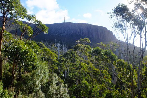 Mt. Wellington Morning Hike + Afternoon Beer & History Walk - Accommodation Kalgoorlie 4