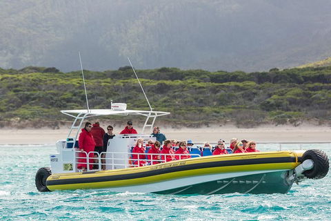 Wilsons Promontory Wilderness Cruise From Tidal River - Accommodation Kalgoorlie 2