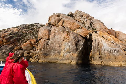Wilsons Promontory Wilderness Cruise From Tidal River - Accommodation Kalgoorlie 4
