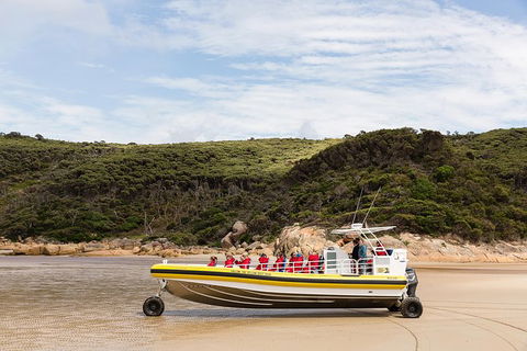 Wilsons Promontory Wilderness Cruise From Tidal River - Accommodation Kalgoorlie 1