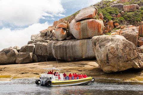 Wilsons Promontory Wilderness Cruise From Tidal River - Accommodation Kalgoorlie 5