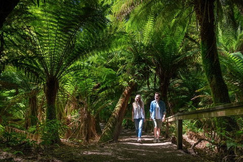 The Great Ocean Road 1 Day Private Sunset Tour - Accommodation Kalgoorlie 1