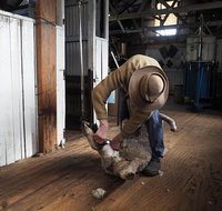 Sovereign Hill Heritage Sheep Farm Experience and Ballarat Gold Rush Day Tour from Melbourne - Accommodation Kalgoorlie