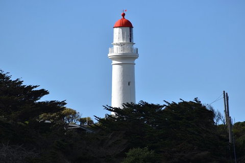 Great Ocean Road Tour Plus Koalas, Forest Walk And Morning Tea. - Accommodation Kalgoorlie 1