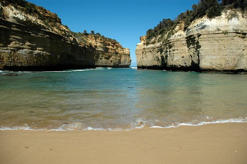 Great Ocean Road Tour Plus Koalas, Forest Walk And Morning Tea. - Accommodation Kalgoorlie 4