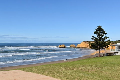 Great Ocean Road Tour Plus Koalas, Forest Walk And Morning Tea. - Accommodation Kalgoorlie 3