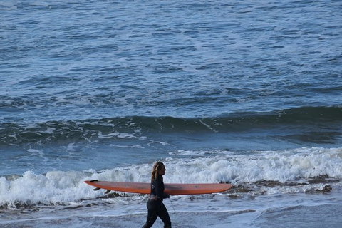 Great Ocean Road Tour Plus Koalas, Forest Walk And Morning Tea. - Accommodation Kalgoorlie 8