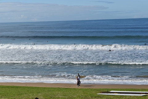 Great Ocean Road Tour Plus Koalas, Forest Walk And Morning Tea. - Accommodation Kalgoorlie 9