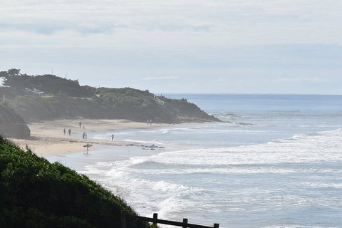 Great Ocean Road Tour Plus Koalas, Forest Walk And Morning Tea. - Accommodation Kalgoorlie 10