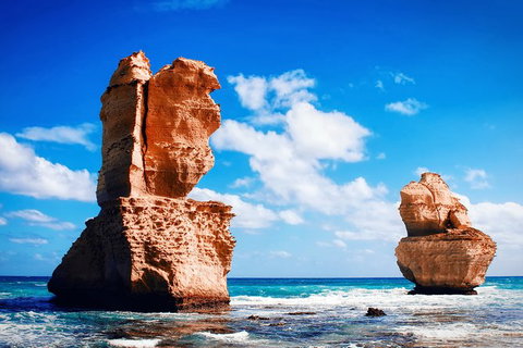 Great Ocean Road Tour Plus Koalas, Forest Walk And Morning Tea. - Accommodation Kalgoorlie 11