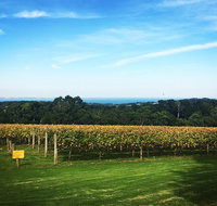 Mornington Peninsula Private Car Winery Tour.1-7 People One Car Price. - Accommodation Kalgoorlie