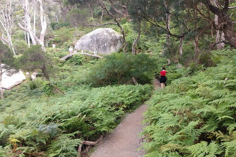 Wilsons Promontory Brainstorming Escape - Accommodation Kalgoorlie 2