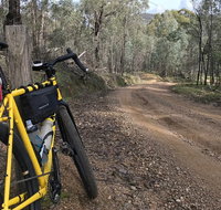 Gold n Gravel  Full Day Beechworth Gravel Cycling Tour - Accommodation Kalgoorlie