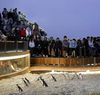LGBT Friendly Full Day Phillip Island Private Tour - Accommodation Kalgoorlie