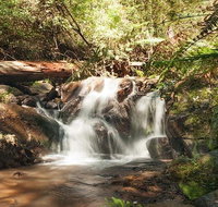 Discover Tour Dandenong Ranges  William Ricketts Sanctuary - Accommodation Kalgoorlie