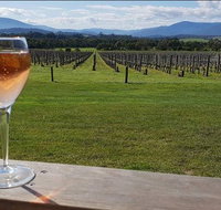 Yarra Valley 7 Hours Guided Wine Tour with 2-Course Lunch - Accommodation Kalgoorlie