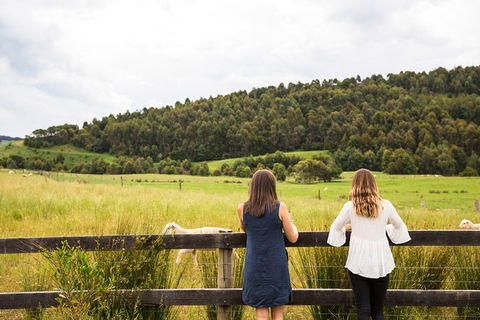 Foodie, Farm Gate & Wine Trail - Gourmet Gippsland From Melbourne - Accommodation Kalgoorlie 10