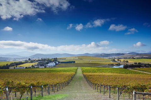 Wine & Food Pairing, Behind The Scenes & Wine Blending Experience - Accommodation Kalgoorlie 5